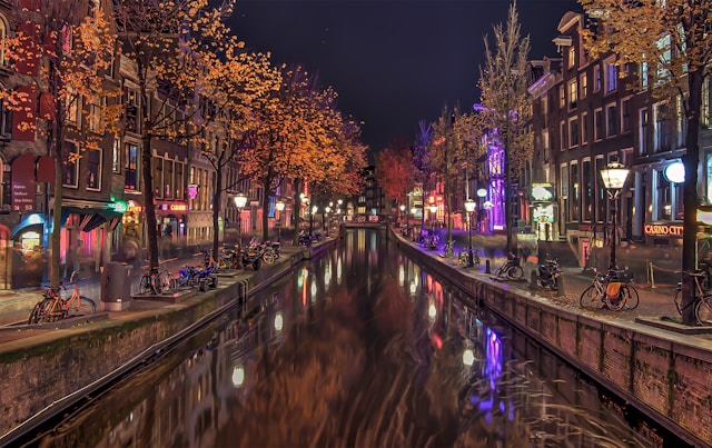 zoltan-tasi-Pwo06VTgCUA-unsplash de wallen Photo by Zoltan Tasi on Unsplash