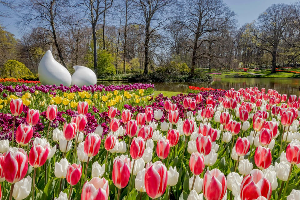 Amsterdamas: įėjimas į Keukenhof ir autobusas su lanksčiu grįžimu