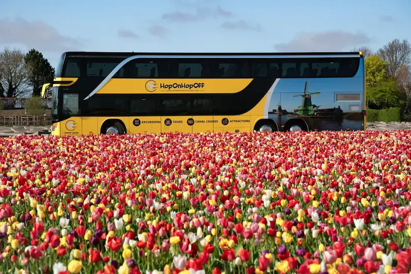 دخول Keukenhof والحافلة المكوكية مع عودة مرنة